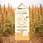 Sorghum Fusilli Pasta - Image 3